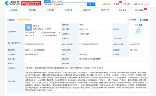 数字内容制作服务 在信息洪流中塑造品牌声音与价值
